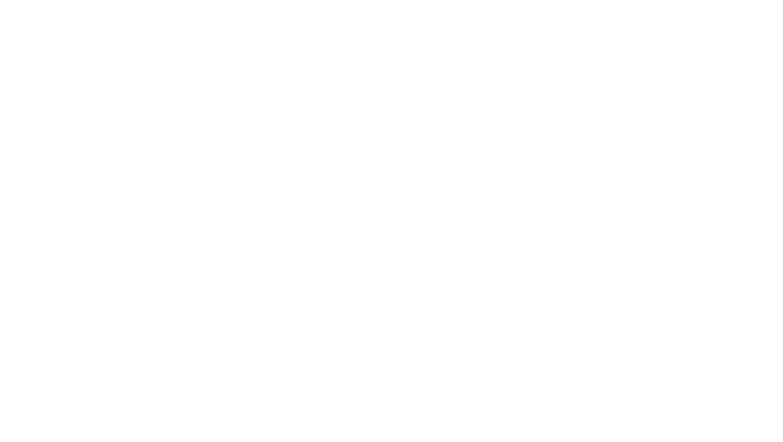 Nasir Group